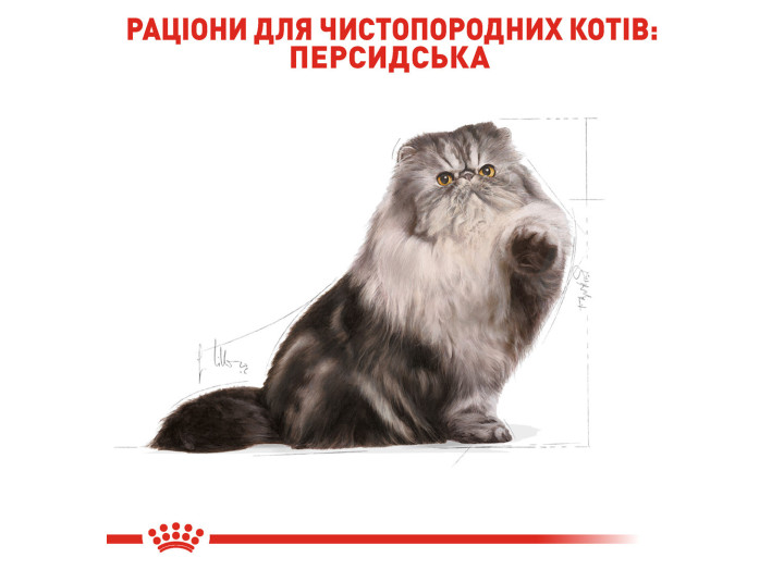 Royal Canin Persian Adult для котів 4 кг