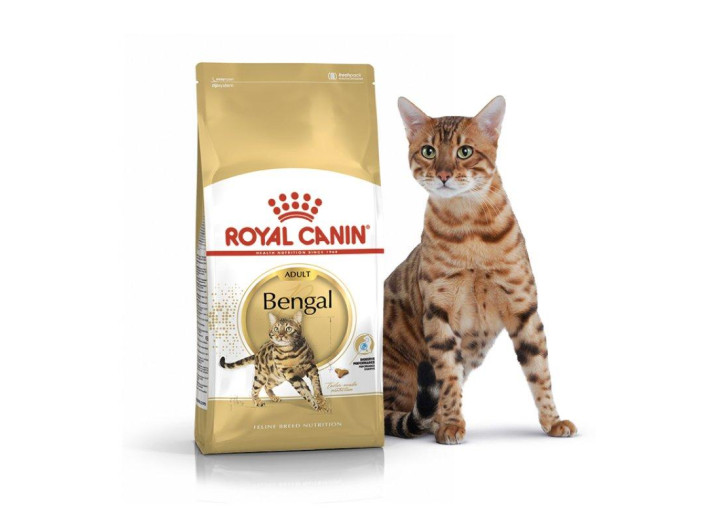 Royal Canin Bengal для котів 2 кг