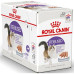 Royal Canin Sterilised Loaf в паштеті для котів 12х85 г