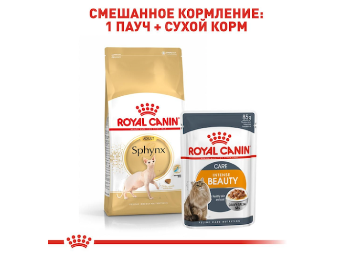 Royal Canin Sphynx для котів 10 кг