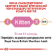Royal Canin British Shorthair Kitten для кошенят 400 г