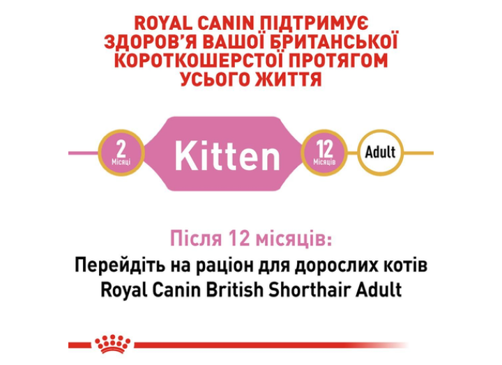 Royal Canin British Shorthair Kitten для кошенят 10 кг