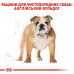 Royal Canin Bulldog Adult для собак породи Бульдог 3 кг