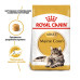 Royal Canin Maine Coon для котів породи Мейн-кун 4 кг