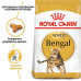 Royal Canin Bengal для котів 2 кг