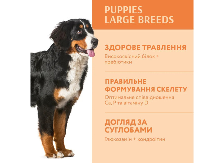 Optimeal Dog Puppy Large для щенят великих порід з індичкою 4 кг