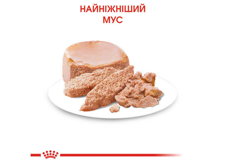 Royal Canin Starter Mousse Mother Babydog для цуценят 195 г