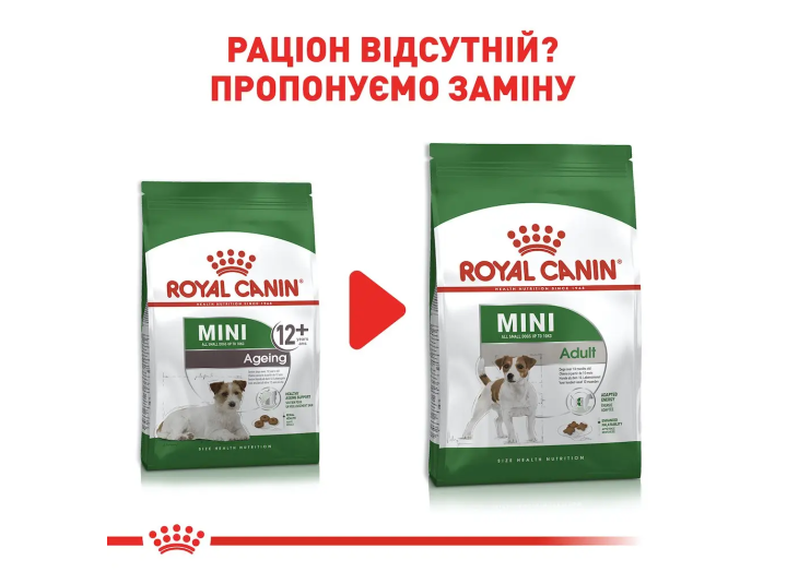 Royal Canin Mini Ageing 12+ для собак 800 г