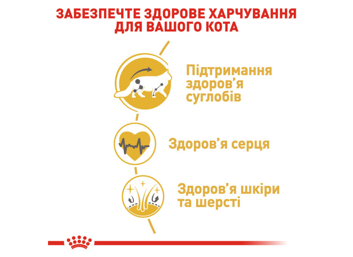 Royal Canin Maine Coon для кішок породи Мейн-кун 10 кг