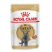 Royal Canin British Shorthair для кошек породы британская короткошерстная 12х85 г