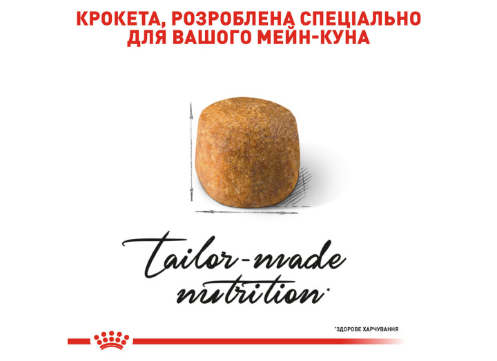 Royal Canin Maine Coon для кішок породи Мейн-кун 10 кг