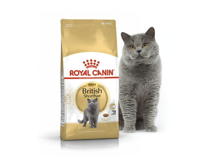 Royal Canin British Shorthair для котів 400 г