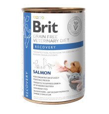 Brit VD Recovery Cans для собак та кішок з лососем 400 г
