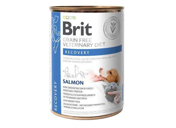 Brit VD Recovery Cans для собак и кошек с лососем 400 г Brit VD Recovery Cans для собак и кошек с лососем 400 г