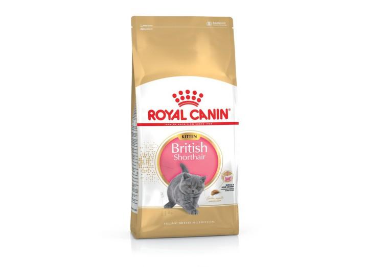 Royal Canin British Shorthair Kitten для кошенят 10 кг Royal Canin British Shorthair Kitten для кошенят 10 кг