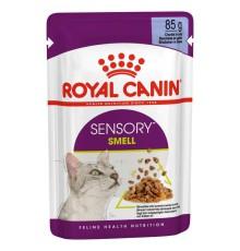 Royal Canin Sensory Smell in Jelly в желе для кошек 12х85 г фото