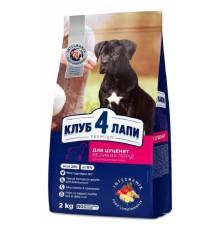 Клуб 4 Лапы Premium Puppies Large для щенков крупных пород с курицей 2 кг фото