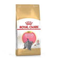 Royal Canin British Shorthair Kitten для котят 2 кг