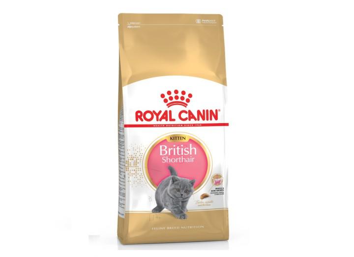 Royal Canin British Shorthair Kitten для котят 2 кг Royal Canin British Shorthair Kitten для котят 2 кг