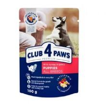 Клуб 4 Лапы Premium Puppies Turkey с индейкой в соусе для щенков 24х100 г фото